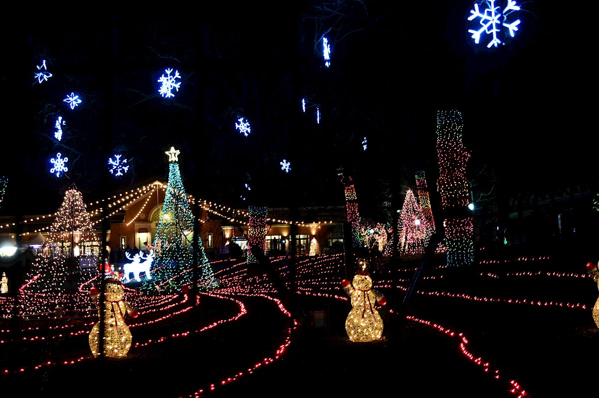 ZooLights Lincoln Park Zoo