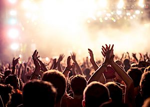 people cheering in a concert crowd